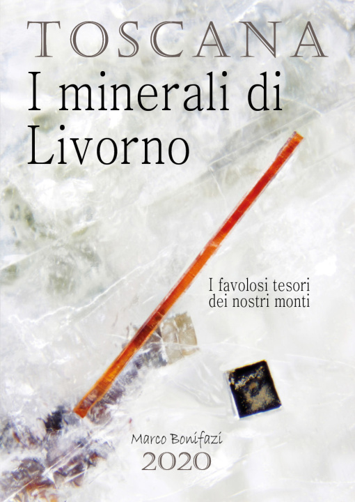 Kniha Toscana. I minerali di Livorno. I favolosi tesori dei nostri monti Marco Bonifazi