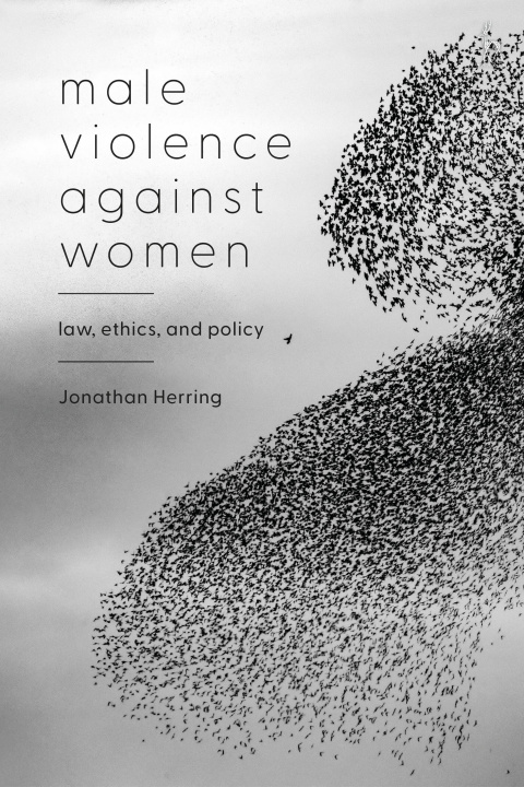 Kniha Male Violence Against Women Herring