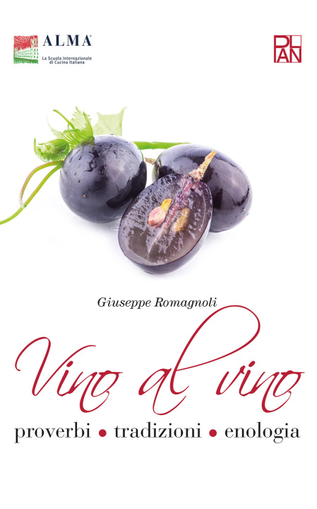 Könyv Vino al vino. Proverbi, tradizioni, enologia Giuseppe Romagnoli