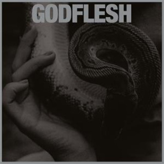 Audio Purge Godflesh