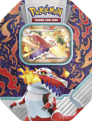 Hra/Hračka Pokémon (Sammelkartenspiel), PKM Pokemon Tin 110 DE 