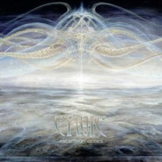 Zvok Ascension Codes Cynic