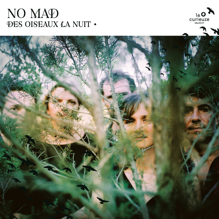 Audio OISEAUX LA NUIT MAD?