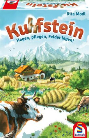 Gioco/giocattolo Kuhfstein 