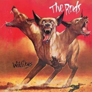 Audio Wild Dogs (Slipcase) The Rods