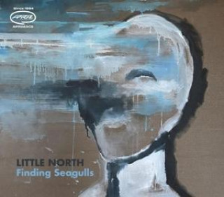 Zvok Finding Seagulls Little North