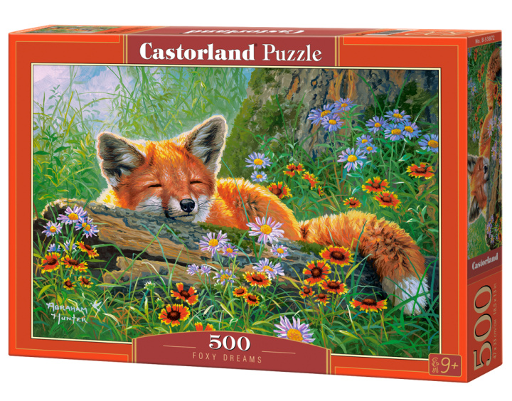 Book Puzzle 500 Foxy Dreams B-53872 