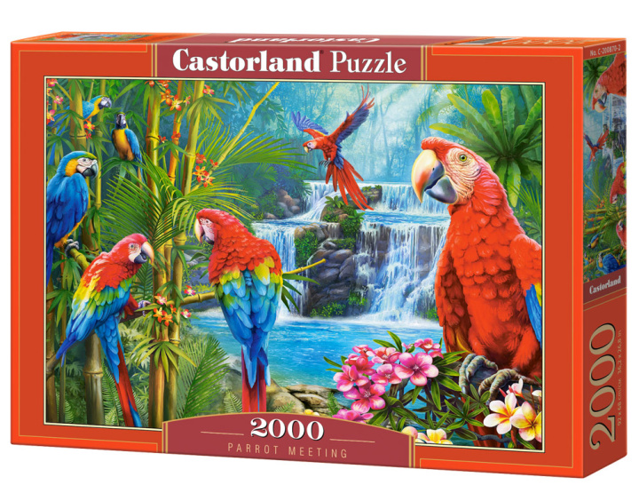Carte Puzzle 2000 Parrot Meeting C-200870-2 
