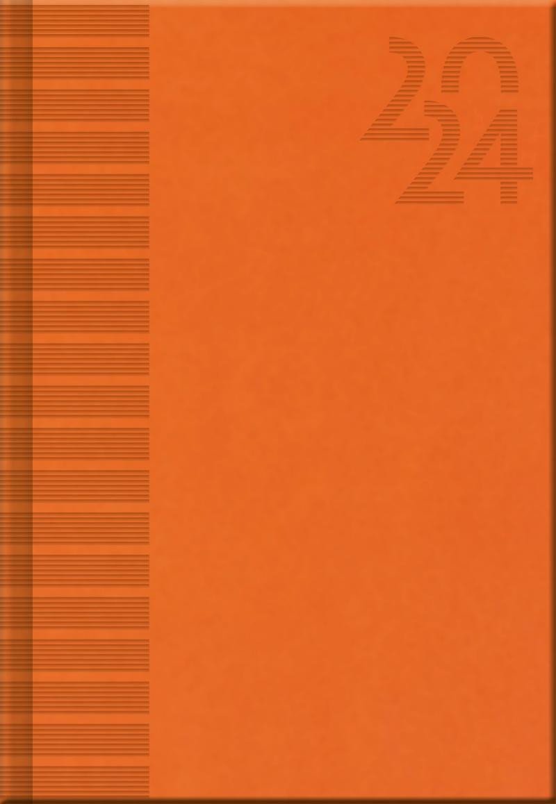 Carte Diář 2024 VIVELLA Orange, denní A5 