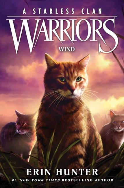 Kniha Warriors: A Starless Clan #5: Wind Erin Hunter