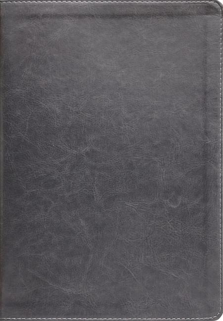 Knjiga ESV THOMPSON CHAIN REF BIBLE GRAY LEATHE THOMPSON FRANK CHARLES