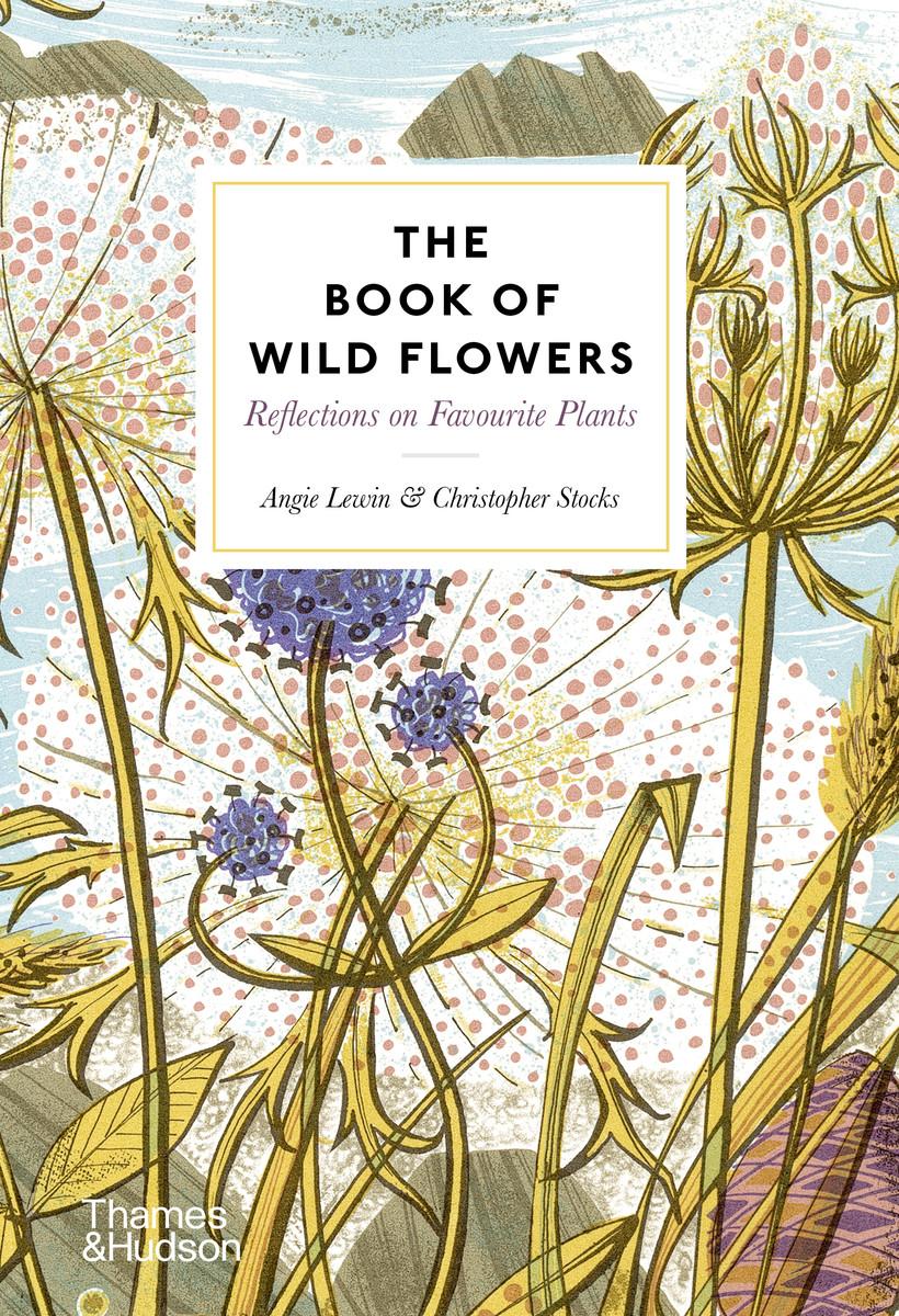 Könyv Book of Wildflowers Angie Lewin