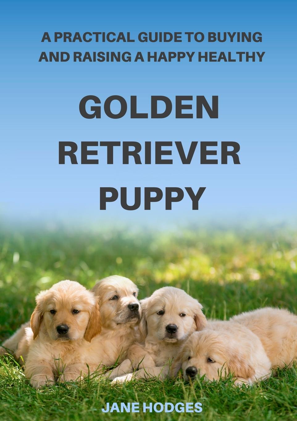 Książka A Practical Guide to Buying and Raising A Happy Healthy Golden Retriever Puppy 