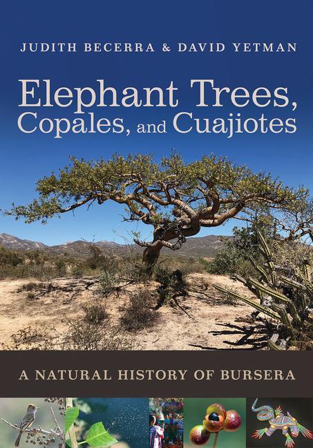 Könyv Elephant Trees, Copales, and Cuajiotes: A Natural History of Bursera David Yetman