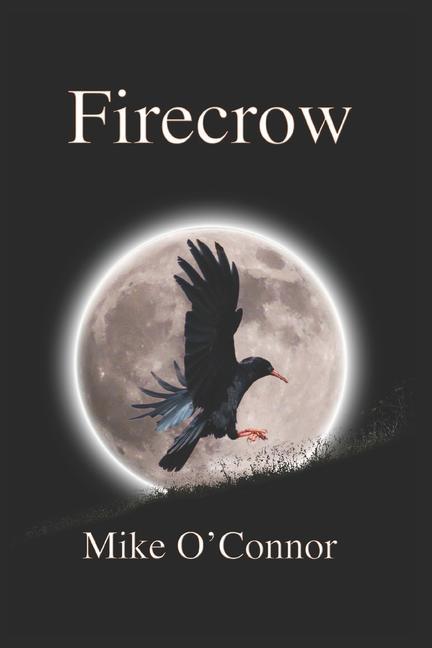 Knjiga Firecrow Mike O'Connor