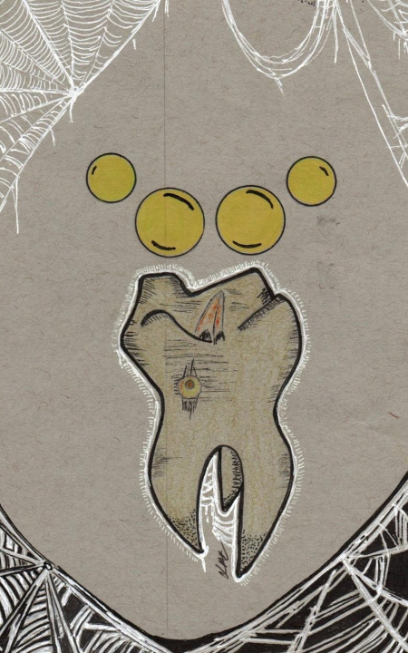 Book Tooth-Bird from Nextaro Damien Casey
