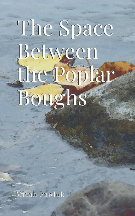 Carte The Space Between the Poplar Boughs Micah Pawluk