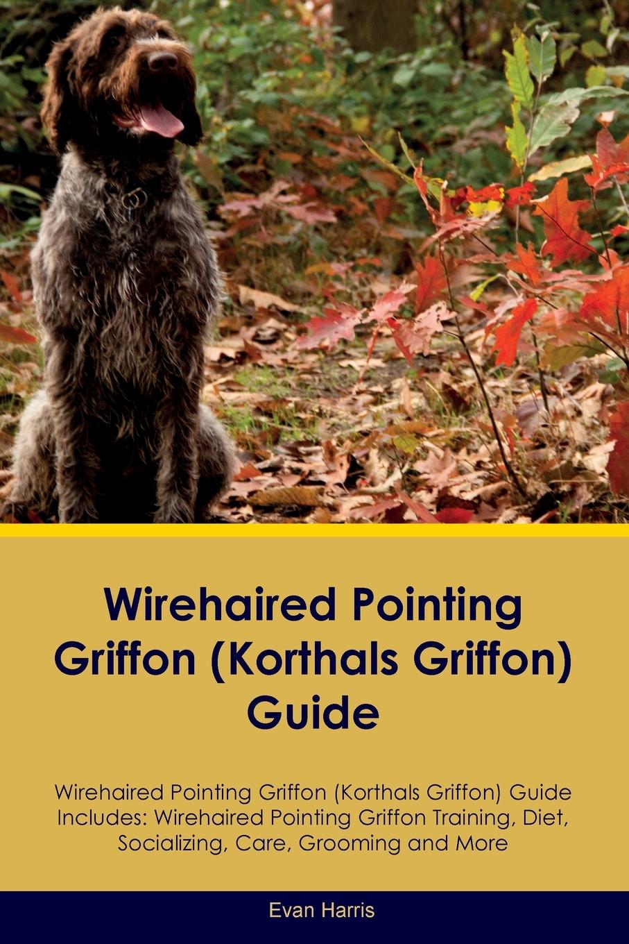 Knjiga Wirehaired Pointing Griffon (Korthals  Griffon) Guide  Wirehaired Pointing Griffon Guide Includes Evan Harris