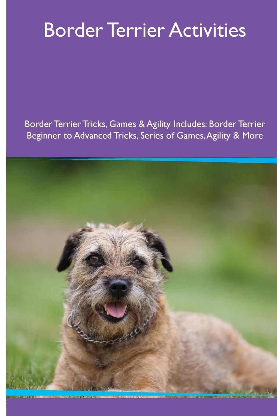 Kniha Border Terrier Activities  Border Terrier Tricks, Games & Agility. Includes 