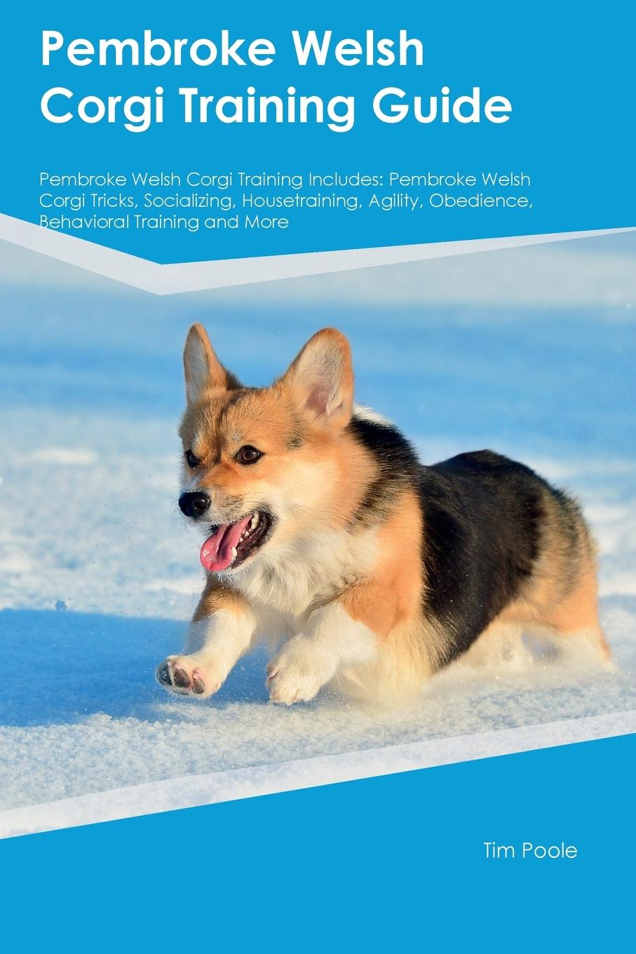 Książka Pembroke Welsh Corgi Training Guide Pembroke Welsh Corgi Training Includes 