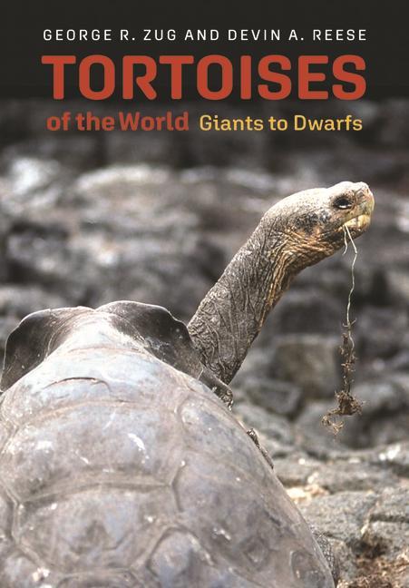 Książka Tortoises of the World – Giants to Dwarfs George R. Zug