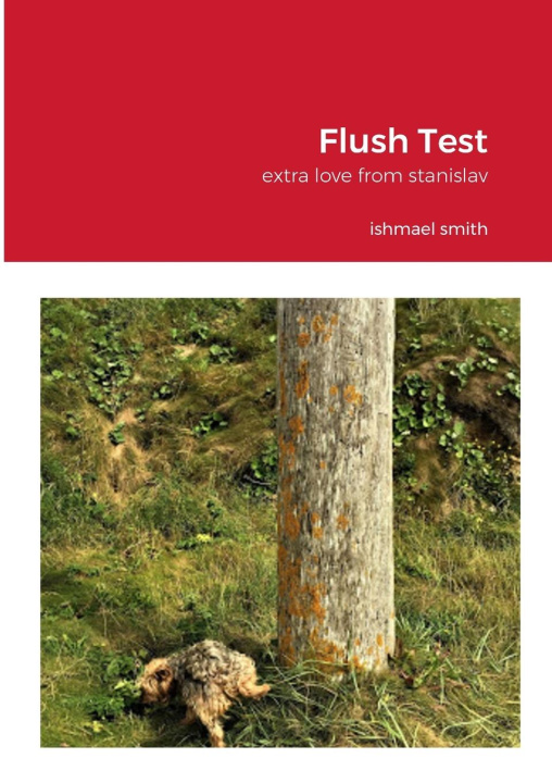 Knjiga Flush Test ishmael smith