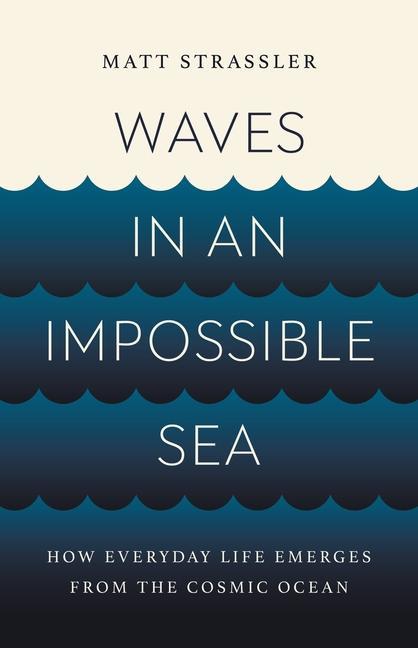 Book WAVES IN AN IMPOSSIBLE SEA STRASSLER MATT