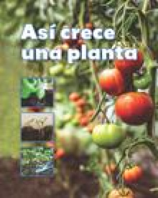 Könyv Así Crece Una Planta 