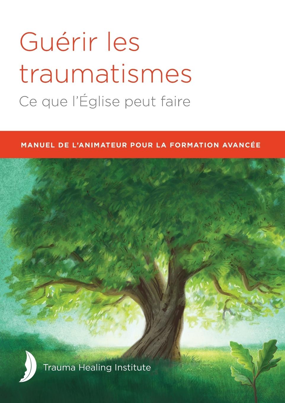 Kniha MANUEL DE L'ANIMATEUR POUR LA FORMATION AVANCÉE Richard Baggé