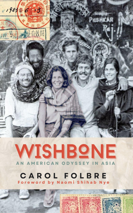 Knjiga Wishbone Carol Wright Folbre