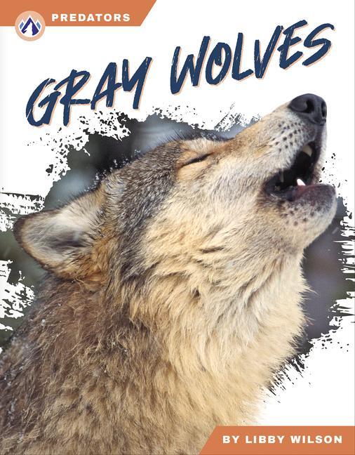 Kniha Gray Wolves 