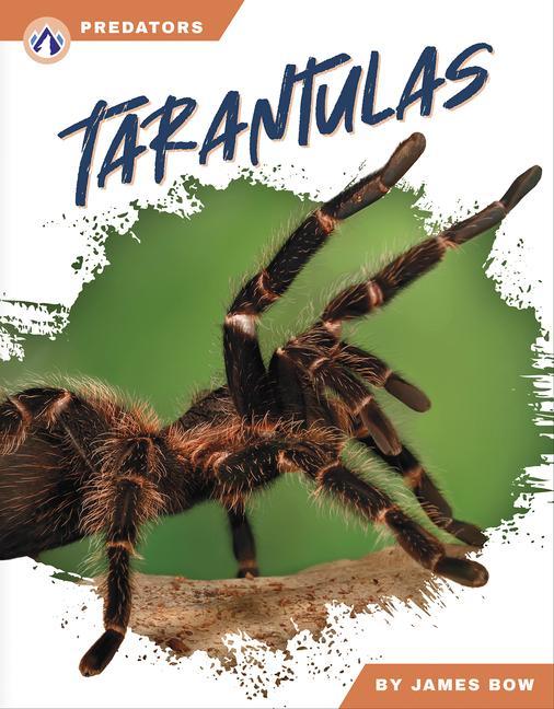 Kniha Tarantulas 