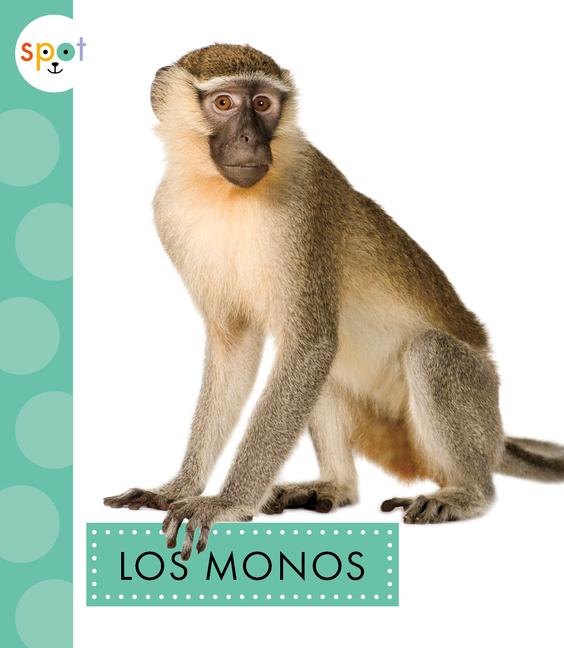Könyv Los Monos 