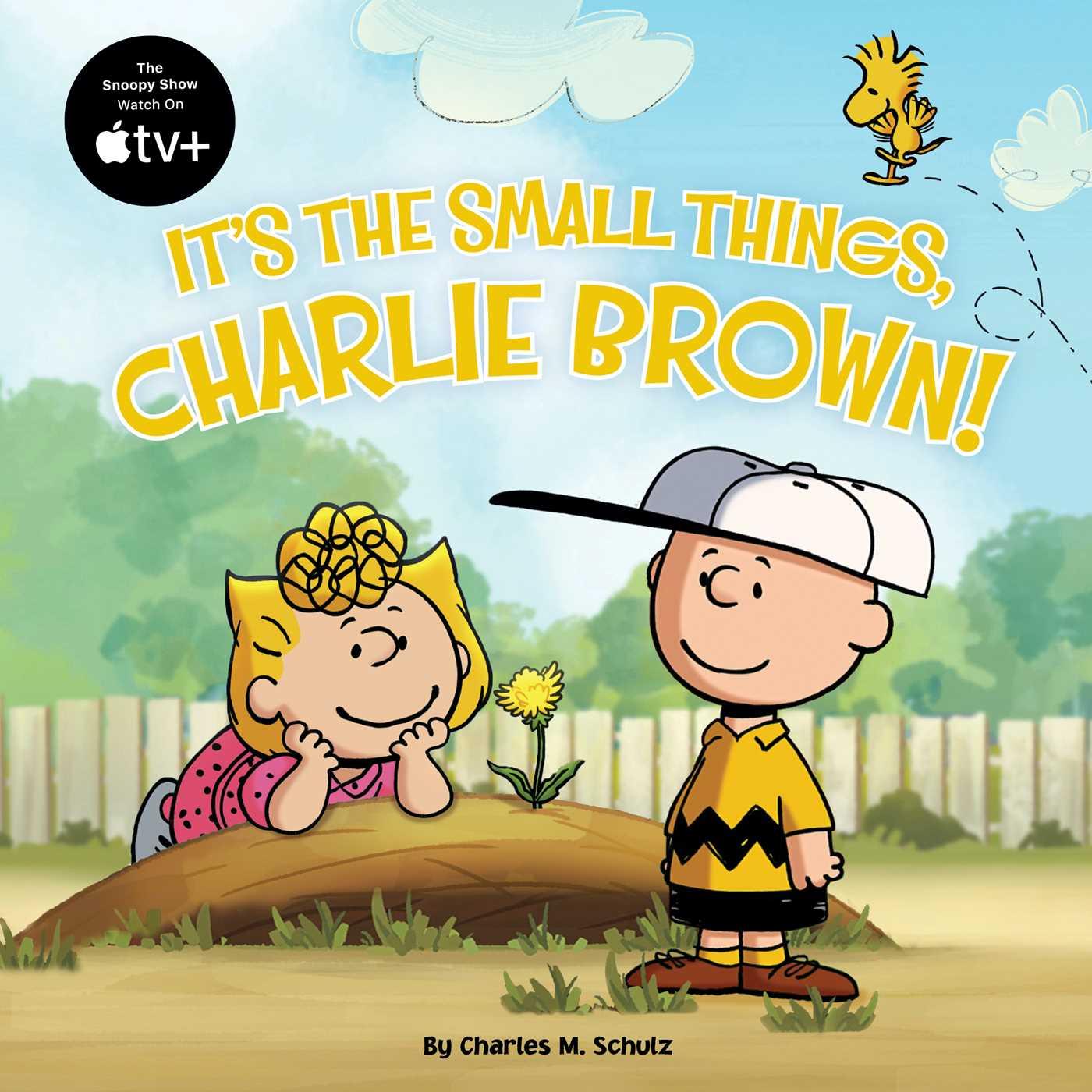 Livro ITS THE SMALL THINGS CHARLIE BROWN SCHULZ CHARLES M