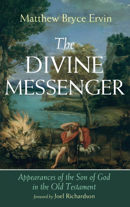 Buch The Divine Messenger Matthew Bryce Ervin
