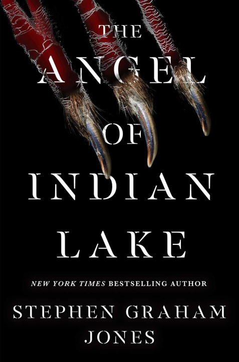 Kniha The Angel of Indian Lake 