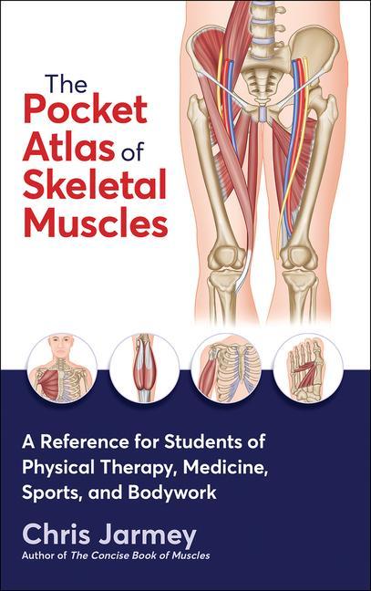 Kniha The Pocket Atlas of Skeletal Muscles Chris Jarmey