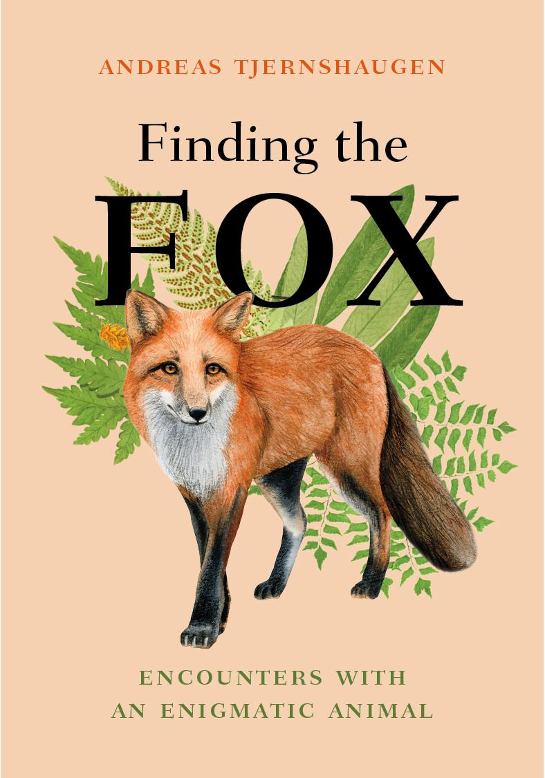 Kniha Finding the Fox: Encounters with an Enigmatic Animal Lucy Moffatt