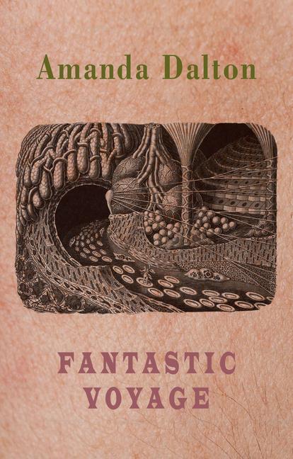 Carte Fantastic Voyage Amanda Dalton