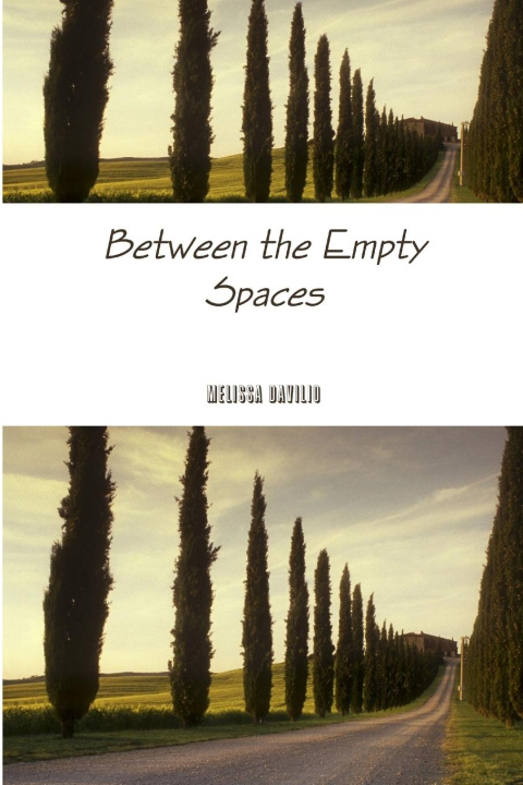 Knjiga Between the Empty Spaces Melissa Davilio