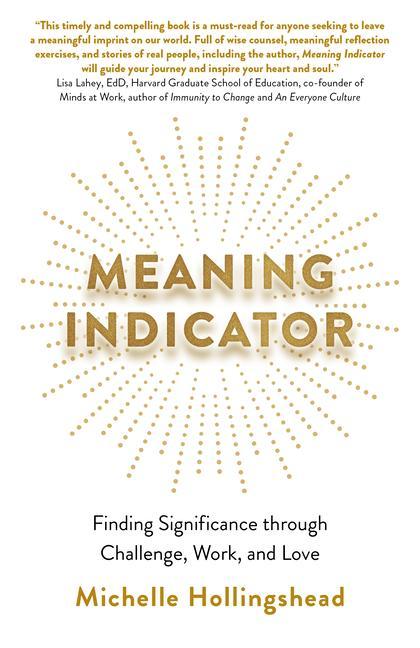 Книга Meaning Indicator Michelle Hollingshead