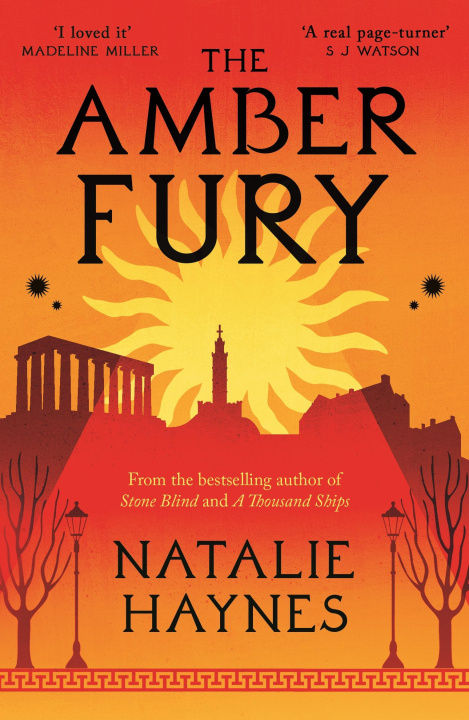 Kniha Amber Fury Natalie (Writer / Broadcaster) Haynes