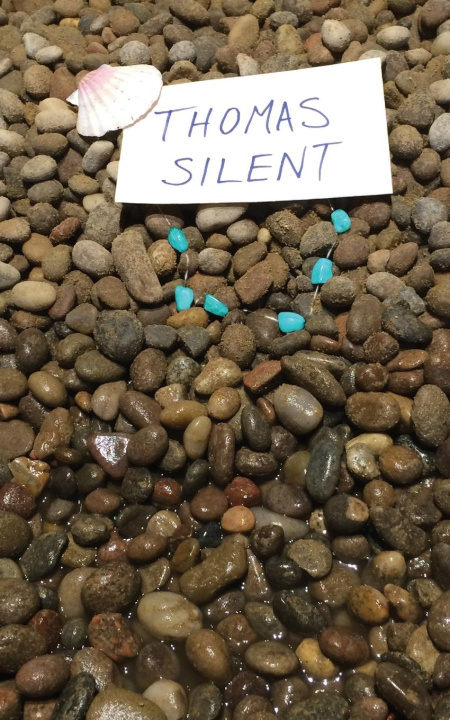 Book Thomas Silent Ben Gribbin