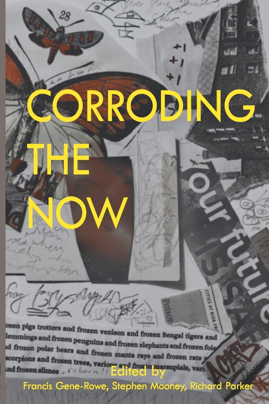 Book CORRODING THE NOW Stephen Mooney
