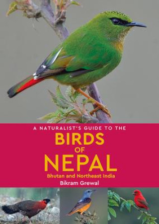 Книга A Naturalist's Guide to the Birds of Nepal 
