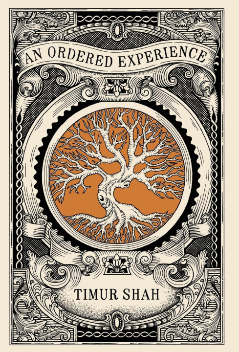 Knjiga An Ordered Experience Timur Shah