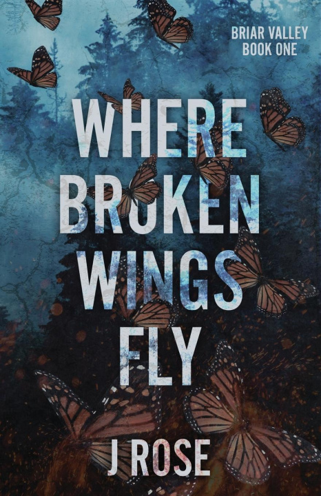 Carte Where Broken Wings Fly 