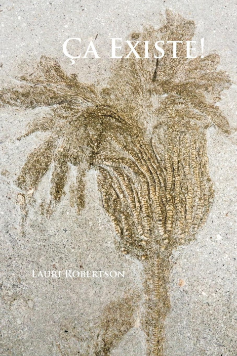 Carte Ça Existe! Lauri Robertson