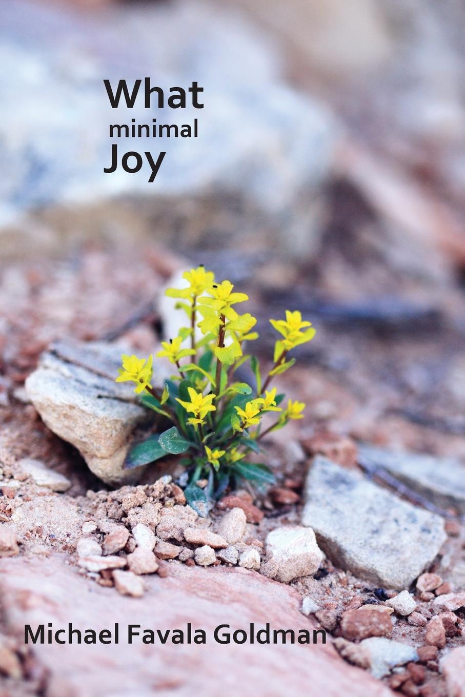 Knjiga What Minimal Joy Michael Favala Goldman