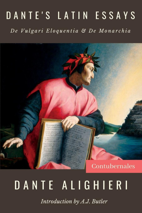 Kniha Dante's Latin Essays 